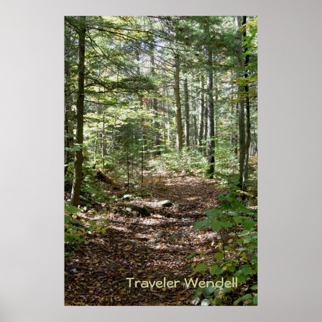 Poster Chemin Adirondack (Devant)