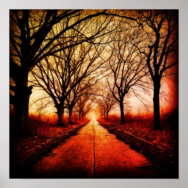 Poster Chemin arboré (Devant)