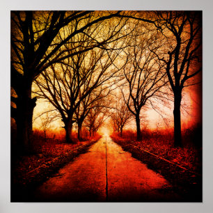 Poster Chemin bordé d'arbres