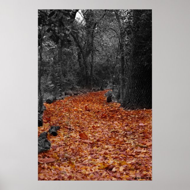 Poster Chemin couleur (Devant)