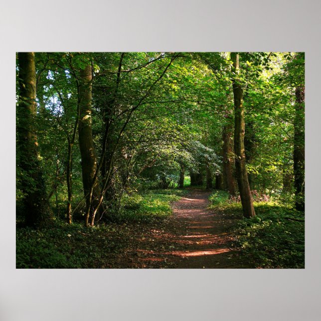 Poster Chemin dans la forêt (Devant)