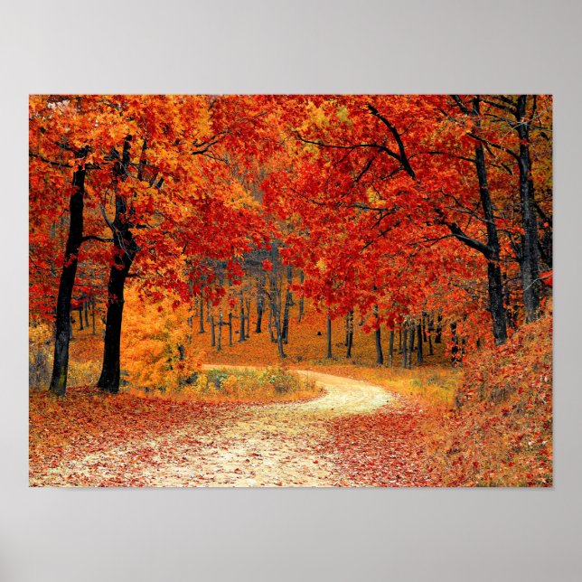 Poster Chemin dans la forêt, automne (Devant)