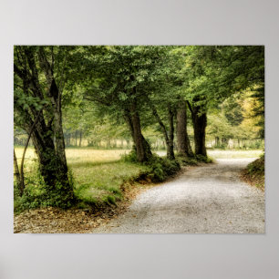 Poster Chemin dans le pays