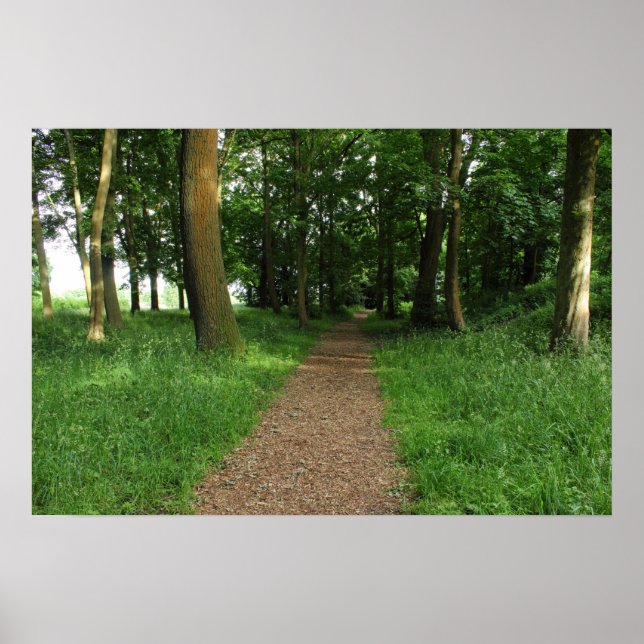 Poster Chemin dans les Bois, Bute Park, Cardiff (Devant)