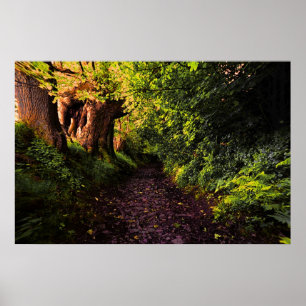 Poster Chemin dans l'impression Bois