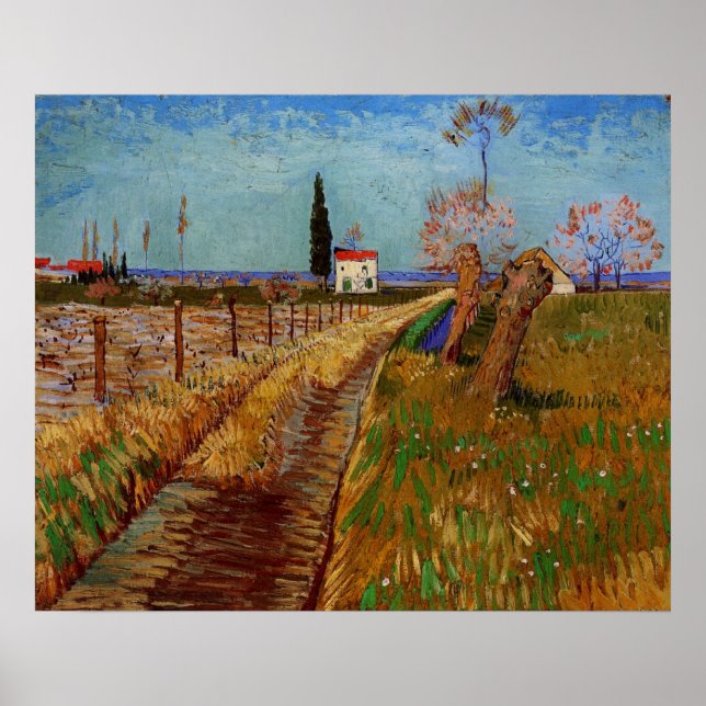 Poster Chemin dans un champ, saules de Vincent van Gogh (Devant)