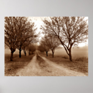 Poster Chemin d'arbre à nulle part
