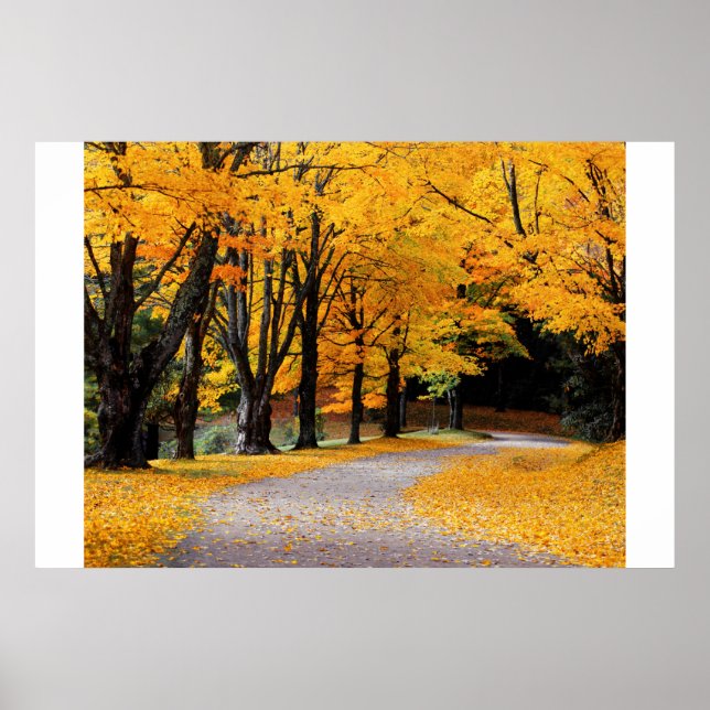 Poster Chemin d'automne (Devant)