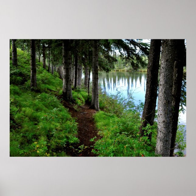 Poster Chemin de Clearwater River (Devant)