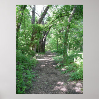 Poster Chemin de la forêt