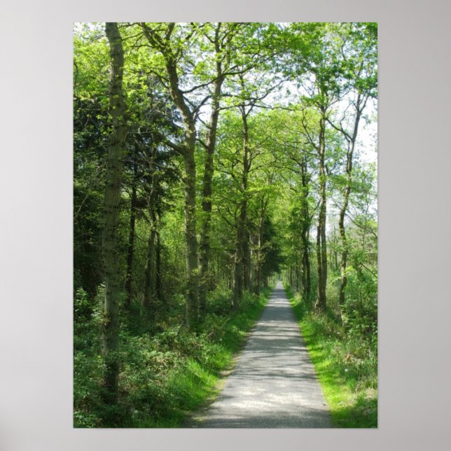 Poster Chemin de la forêt dans la lumière partielle du so (Devant)