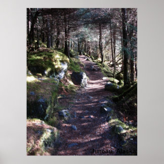 Poster Chemin de la forêt de l'Alaska