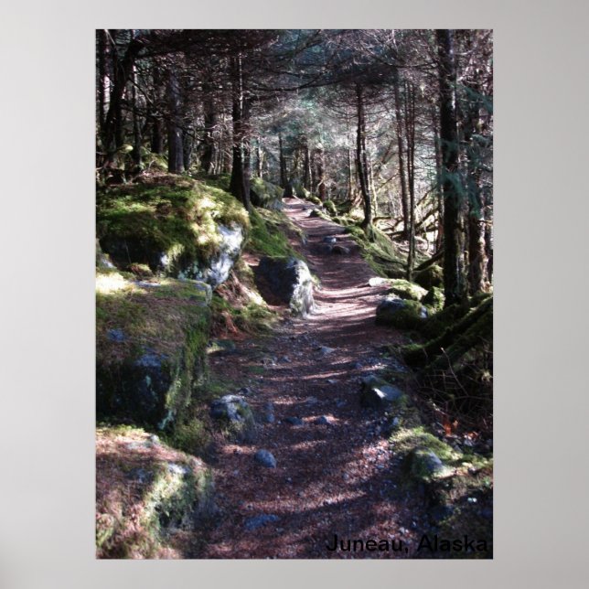 Poster Chemin de la forêt de l'Alaska (Devant)