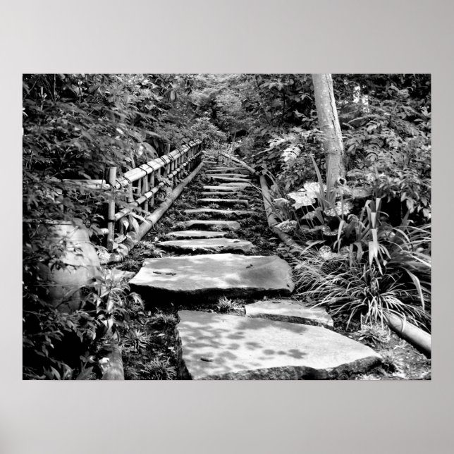 Poster Chemin de pierre en noir et blanc (Devant)