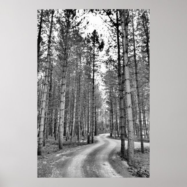 Poster Chemin d'enroulement (Devant)