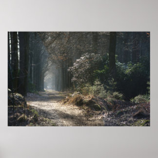 Poster chemin déserté dans les bois
