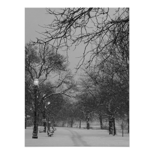 Poster Chemin d'hiver (Devant)