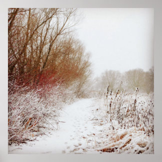 Poster Chemin d'hiver paisible