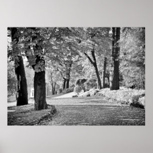 Poster Chemin du lac de Côme monochrome