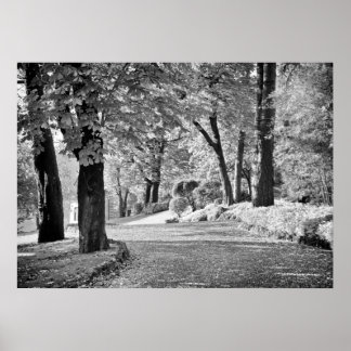 Poster Chemin du lac de Côme monochrome