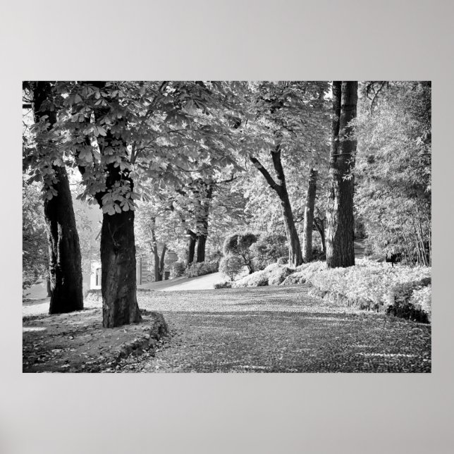 Poster Chemin du lac de Côme monochrome (Devant)