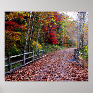 Poster Chemin en bois