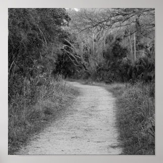 Poster Chemin en bois B&W