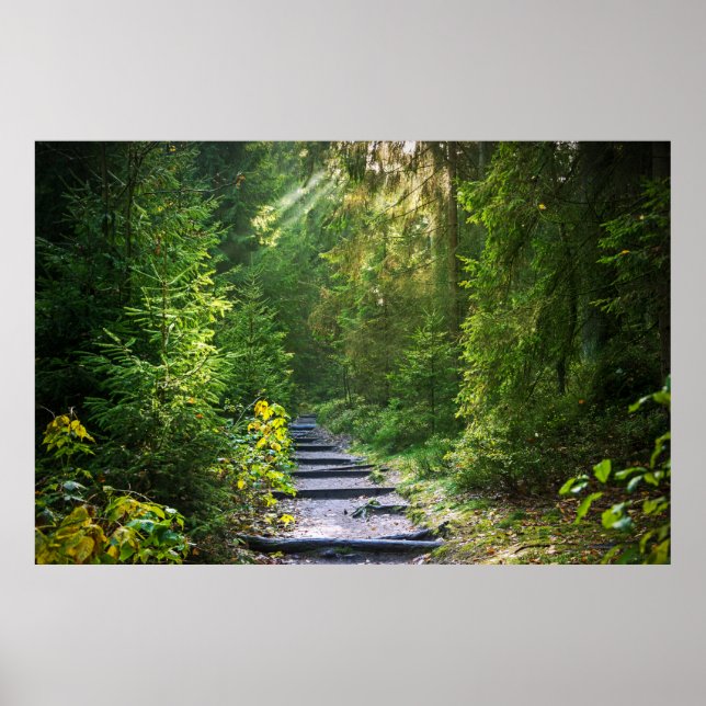 Poster Chemin forestier enchâssé (Devant)