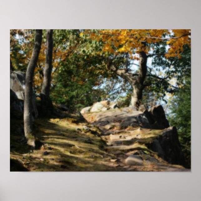 Poster Chemin forestier paisible Nature Orton Art (Devant)
