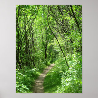 Poster Chemin forestier vert