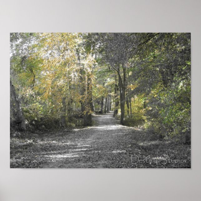 Poster Chemin long (Devant)