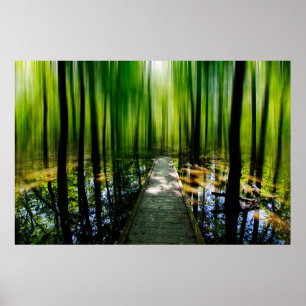 Poster Chemin Mystère