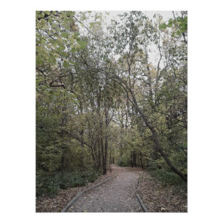 Poster Chemin tranquille de la forêt automnale – Édition