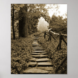 Poster Chemin vers la lumière