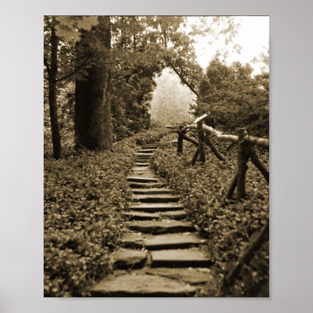 Poster Chemin vers la lumière (Devant)