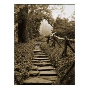 Poster Chemin vers la lumière