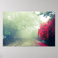 Chemins de fer Misty Photo Pittoresque