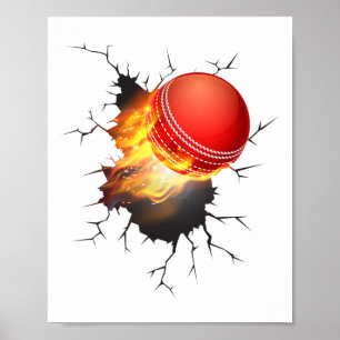 Poster Chemise de cricket pour garçons et hommes Cricket