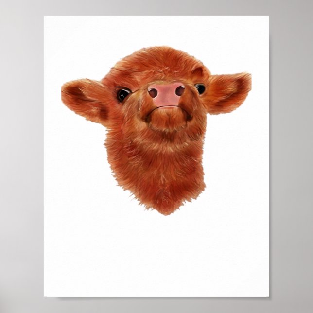 Poster Chemise T surdimensionnée de la vache Highland (Devant)