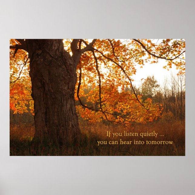 Poster Chêne d'automne (Devant)