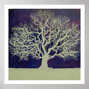 Poster Chêne en hiver