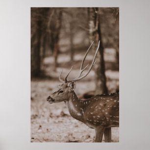 POSTER CHER AVEC DES ANTLERS