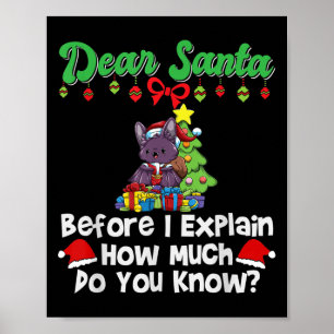 Poster Cher Père Noël Avant D'Expliquer Combien Vous Save