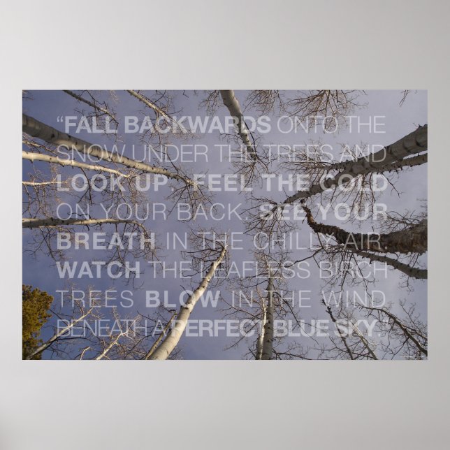 Poster Chercher (Devant)