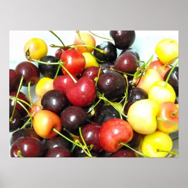 Poster Cherries (Devant)
