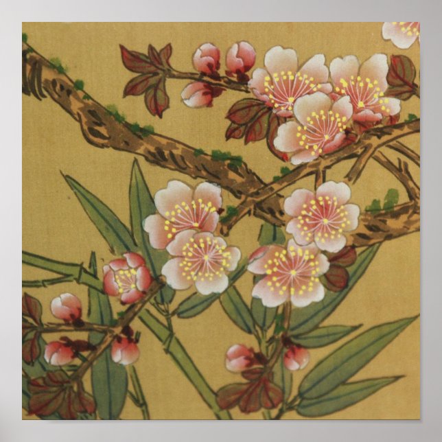 Poster Cherry Blossom Asian Japanese (Devant)