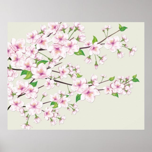 Poster Cherry Blossom Sakura Imprimer (Devant)