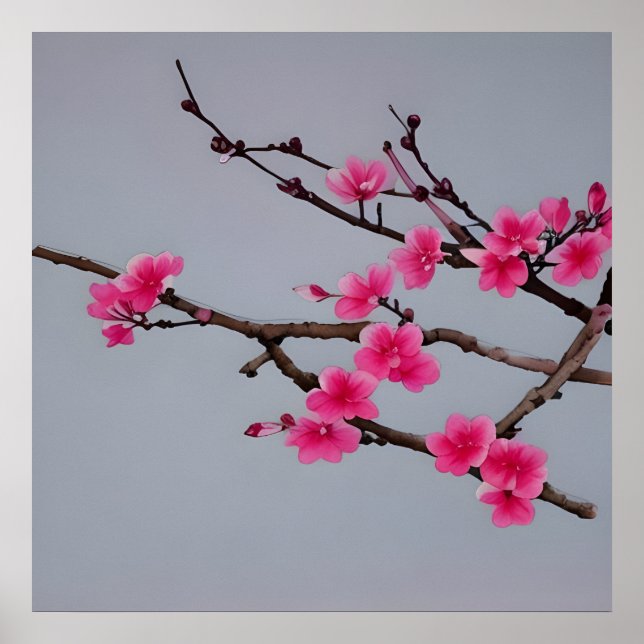 Poster Cherry Blossoms (Devant)