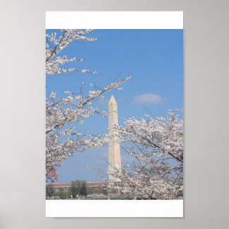 Poster Cherry Blossoms à Washington DC