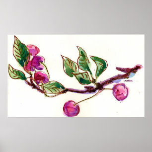 Poster Cherry Branch